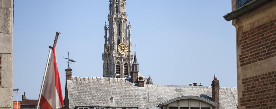 de Kathedraaltoren gezien vanop de Vrijdagmarkt